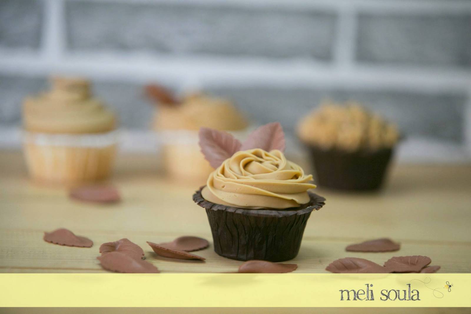 10344338_694539110659242_451516220468201347_o