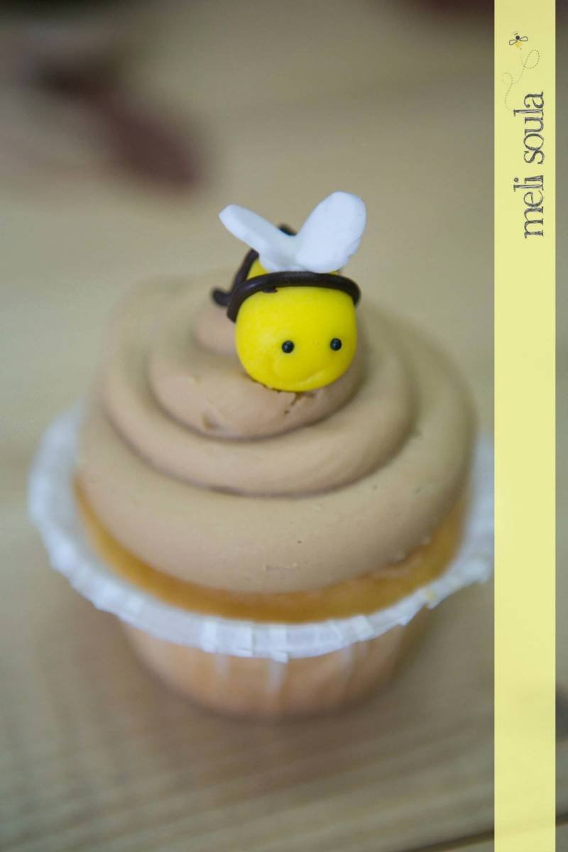 10355534_694539547325865_4335388370786985225_o