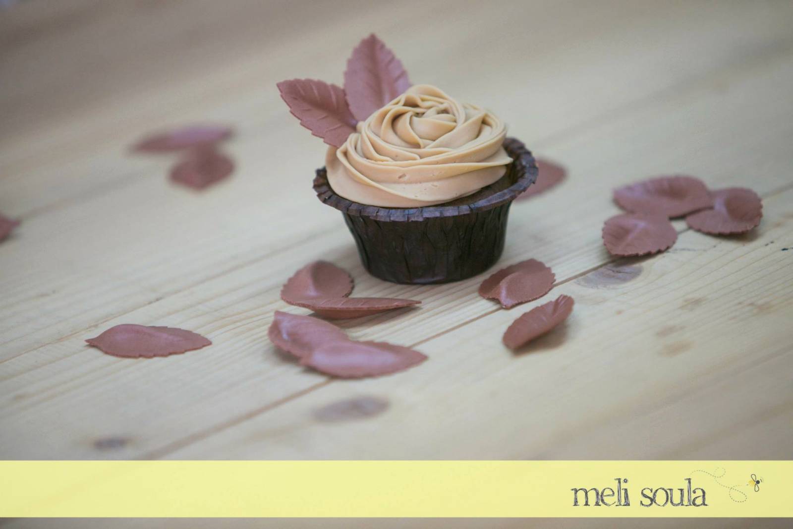 10542721_694538997325920_2625270122554620873_o