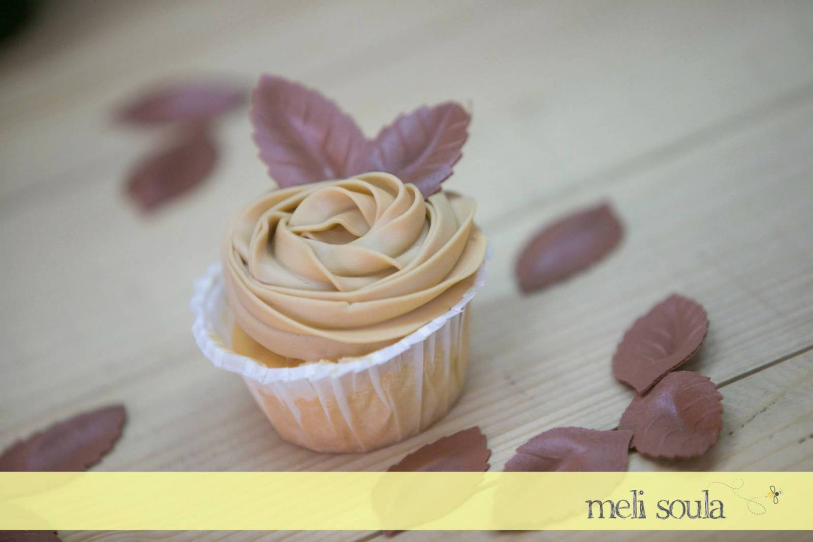 10847249_694539243992562_2118209714407977309_o